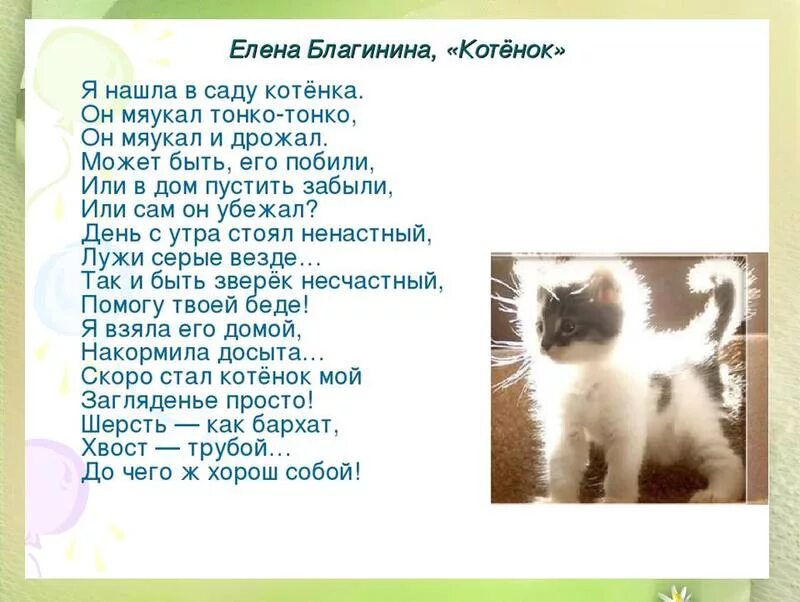 У нас живет чудесный кот. Стихотворение Елены Благининой котенок. Стих котёнок Благинина. Я нашла в саду котенка он мяукал тонко-тонко.