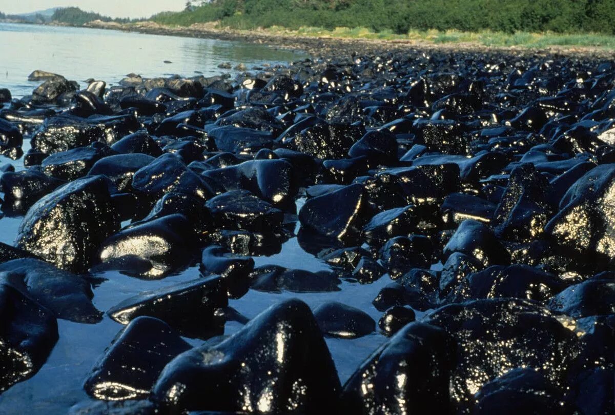 Миллионы тонн воды. Экссон Вальдес 1989. Разлив нефти Exxon Valdez. Крушение танкера Exxon Valdez. Авария танкера Эксон Валдез.