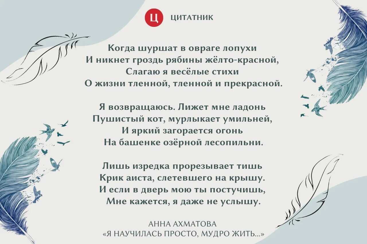 Стихотворение я научилась просто мудро жить. Я научилась просто мудро жить Ахматова. Стих Ахматовой я научилась просто мудро жить.