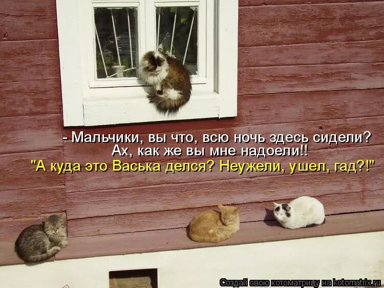 песня ты сидишь тут по ночам. песня текст песни. шутки про сессию. серенады под окном юмор. песня ты сидишь тут по ночам.