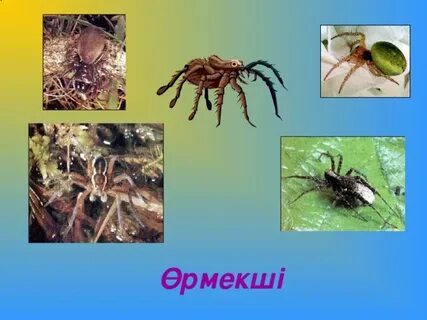 Мелитополь танысу телефон нөмірі