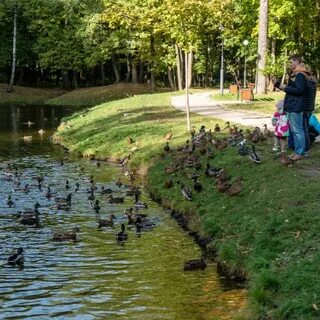 Ивановский парк красногорске