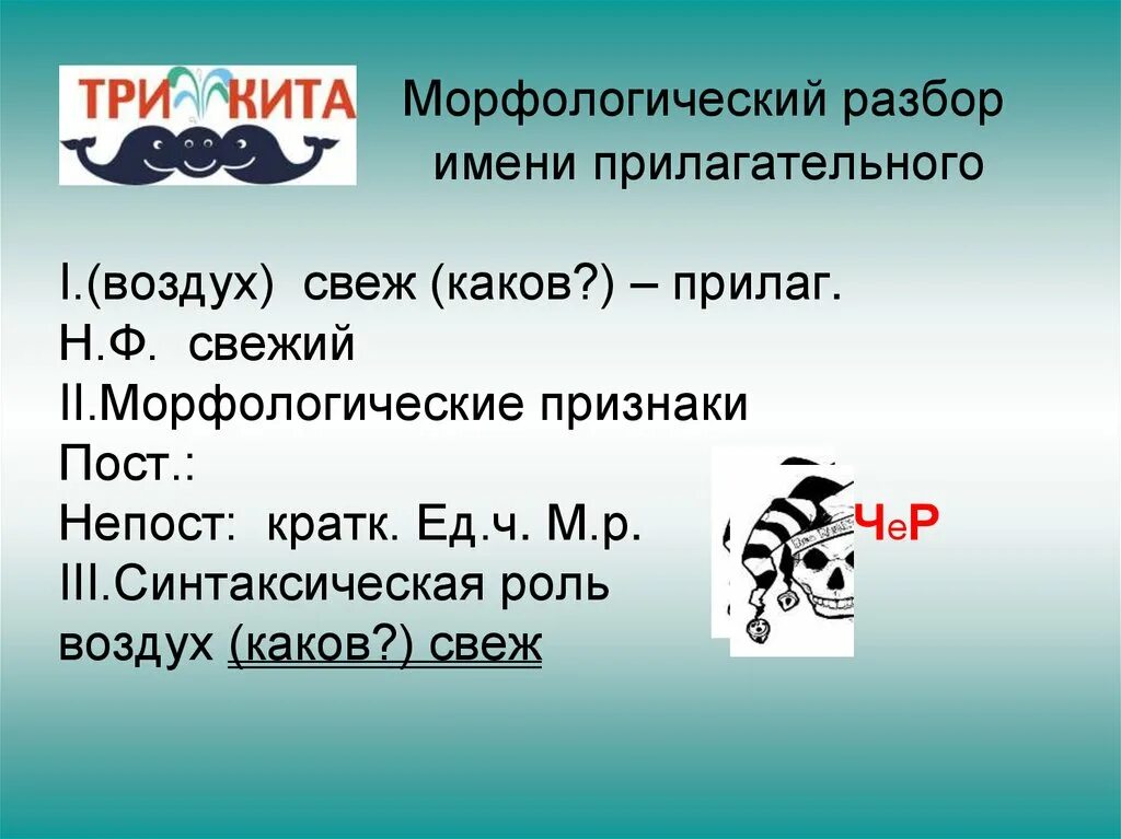 Разбор прилагательного 3 цифра 5 класс. Как разбирать морфологический разбор прилагательного 5 класс. Морфологический разбор слова прилагательное. Цифра 3 разбор прилагательного.