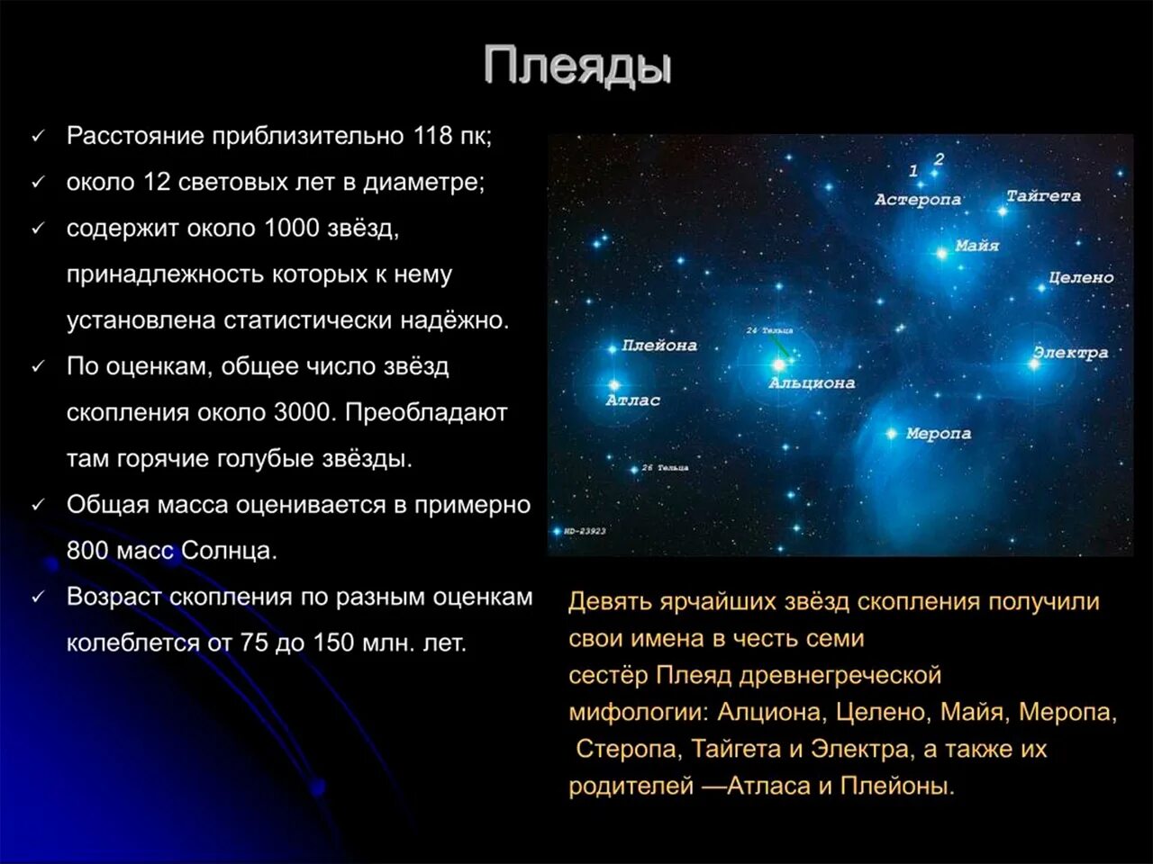 Созвездие звезды плейона. Скопление Плеяды. Созвездие Плеяды. Плеяды Звёздное скопление. Возраст Плеяды.