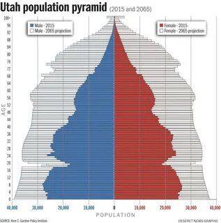 Population pyramid