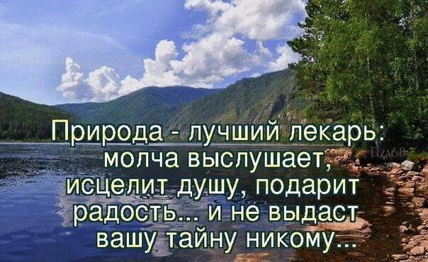 Самый лучший лекарь – это нежные и ласковые слова любимого человека. Природа лучший лекарь цитаты. Лучший лекарь. Разум лучший лекарь гиппократ. Природа лучший лекарь.