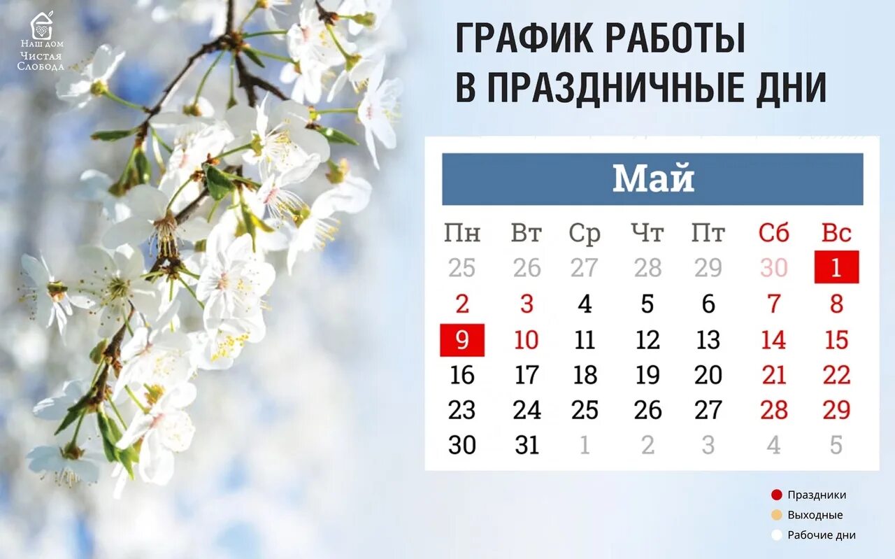 Выходные дни мая 23