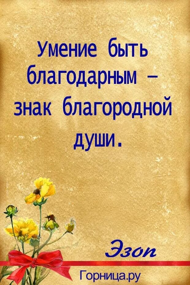 Благодарность цитаты. Высказывания о благодарности. Афоризмы про благодарность. Умение быть благодарным. Если вы будете благодарны