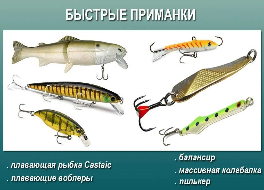 Виды воблеров: классификация, выбор приманки и применение