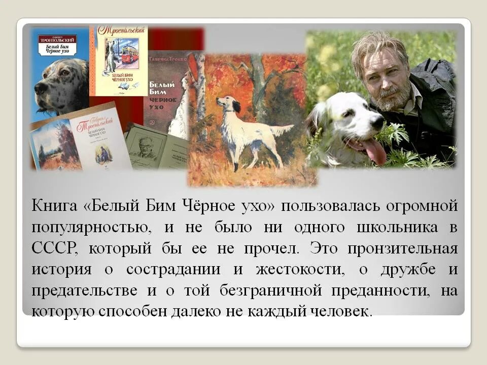 Ухо в книги рассказы. Троепольский белый Бим. Книга Троепольского белый Бим черное ухо.