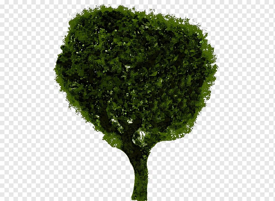 2 trees