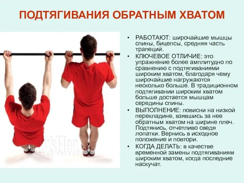 Что дает подтягивание. Подтягивания. Подтягивание на перекладине разными хватами. Подтягивание на перекладине обратным хватом. Подтягивания широким обратным хватом.