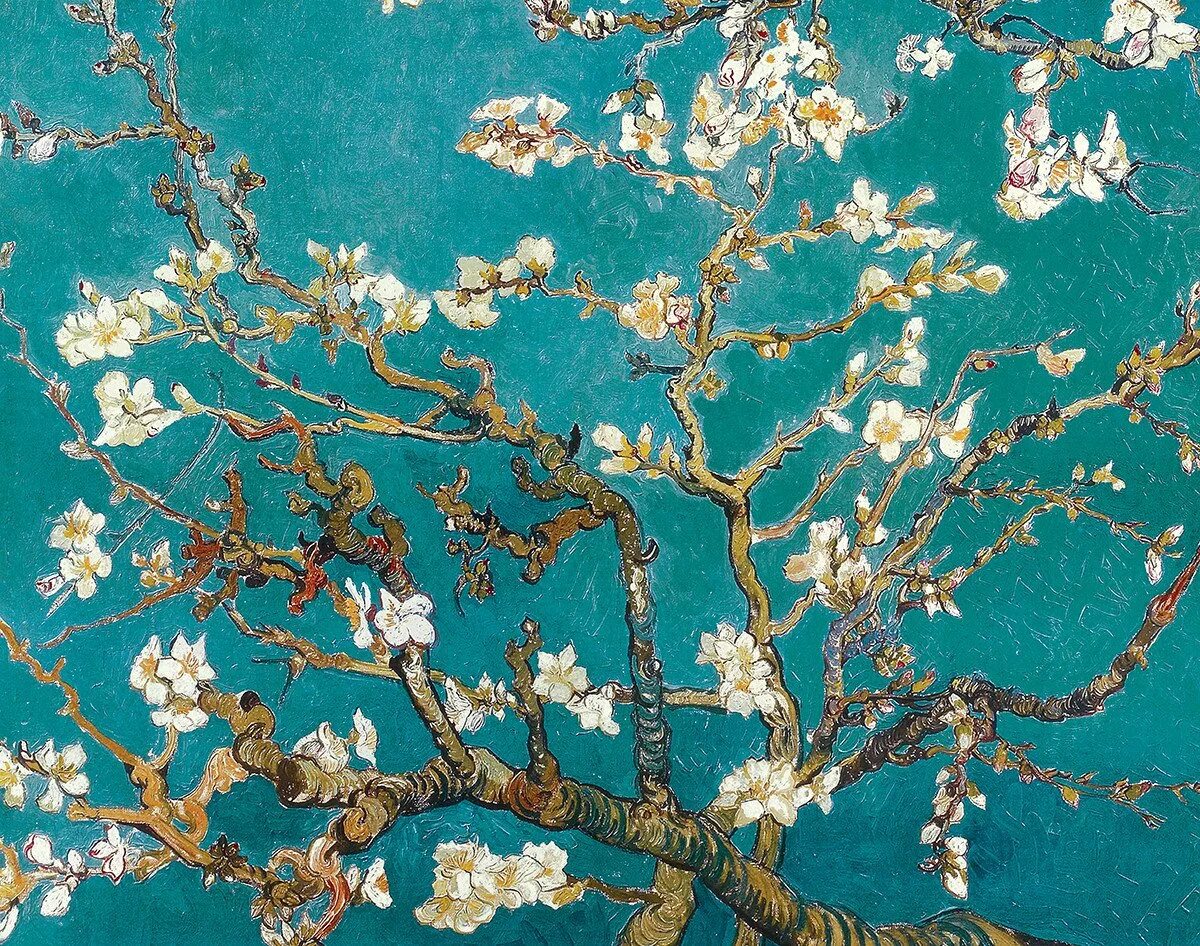 Almond blossom. Винсент Ван Гог ветка миндаля. Цветение миндаля Ван Гог. Винсент Ван Гог цветущие ветки. Картина Ван Гога миндальное дерево.