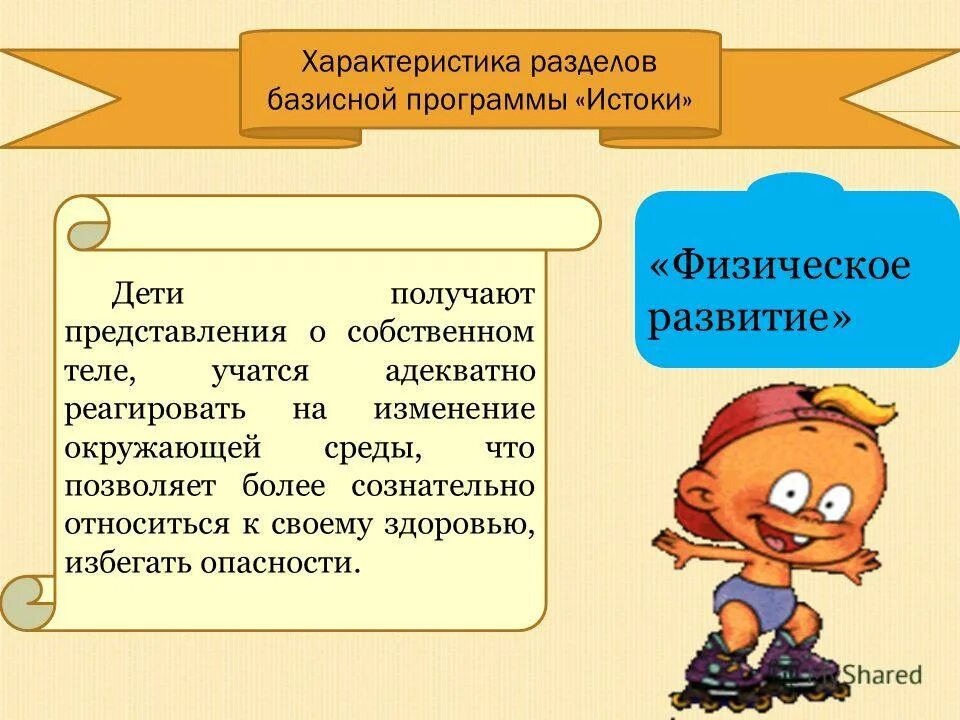 Характеристика базисной программы. Параметры функционирования организации. Профессиональные компетенции педагога критерии оценки. Базовые компетенции преподавателей. Характеристика базисной программы.