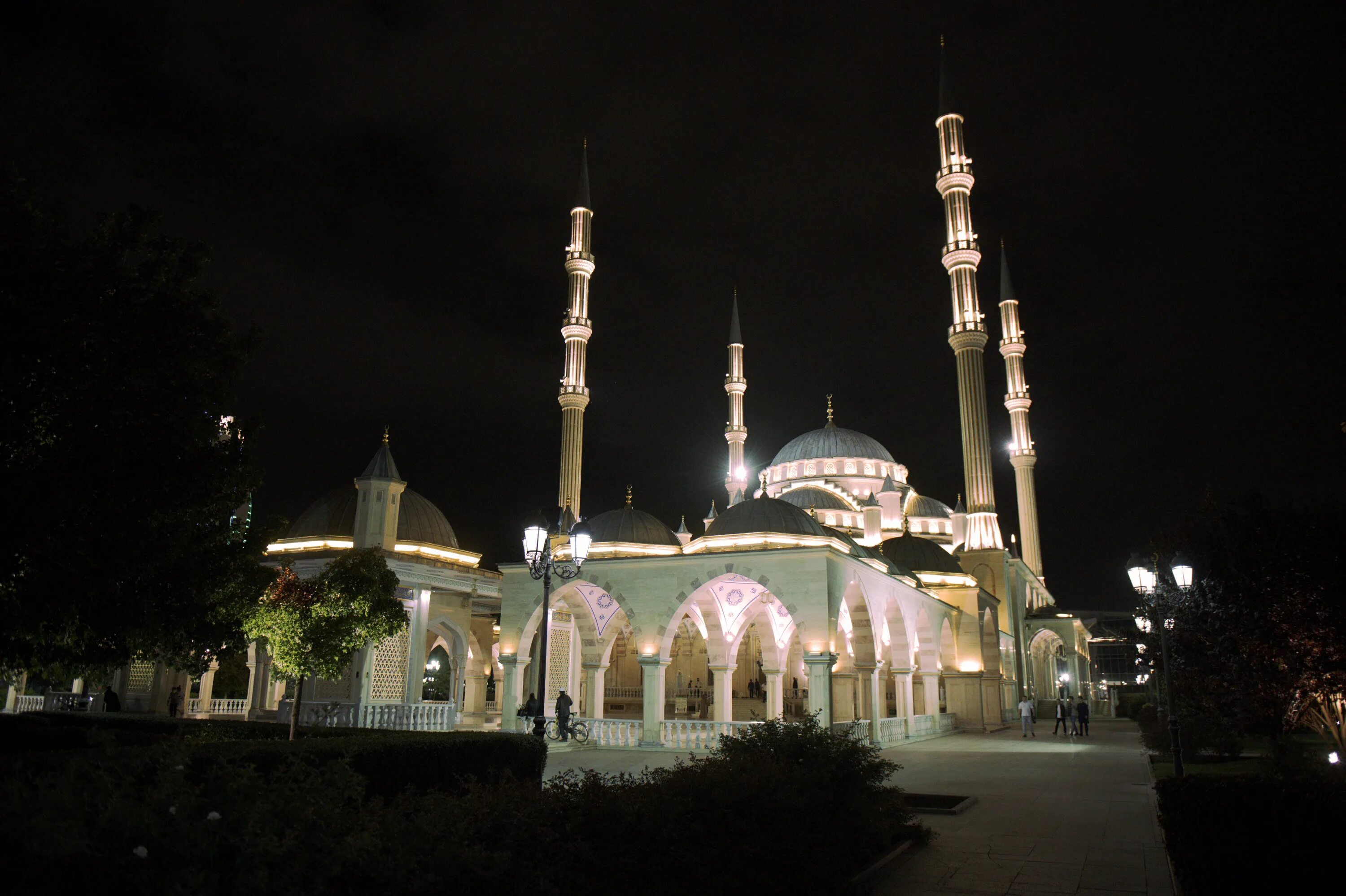 Экскурсия в грозный из пятигорска. Мечеть сердце Чечни в Грозном. Мечеть сердце Чечни Кавказ. Карпинская мечеть Грозный. Мечеть в Грозном вечером.