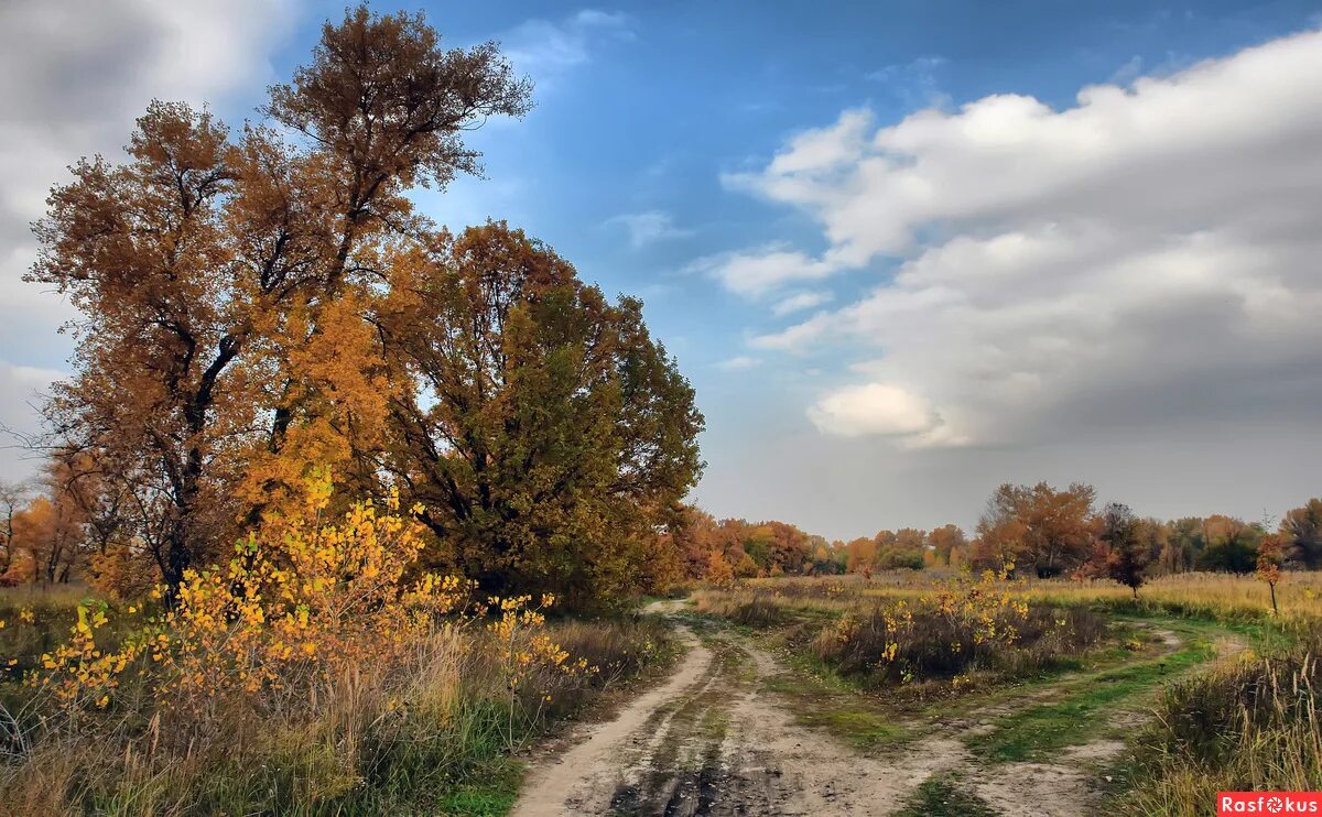 суперснимки фотосайт пейзаж. фото расфокус. пейзажи среднерусской природы. расфокус челябинск. предвестники осени.
