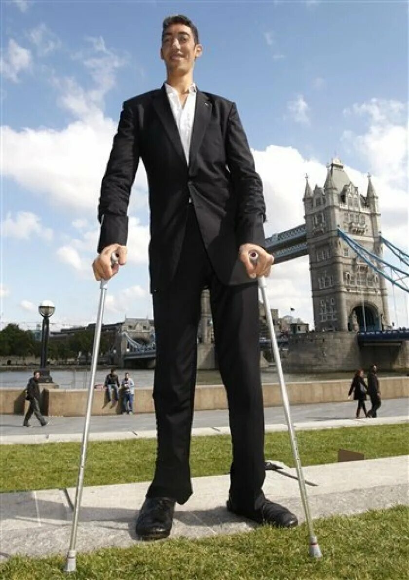 Who is tall