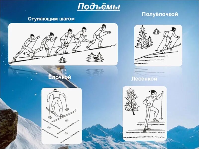 Подъемы елочкой полуелочкой лесенкой. Подъем полуелочкой на лыжах. Способ подъема на лыжах елочка. Полуелочка лыжи. Способ подъема елочка