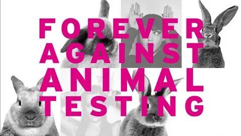 Animal test