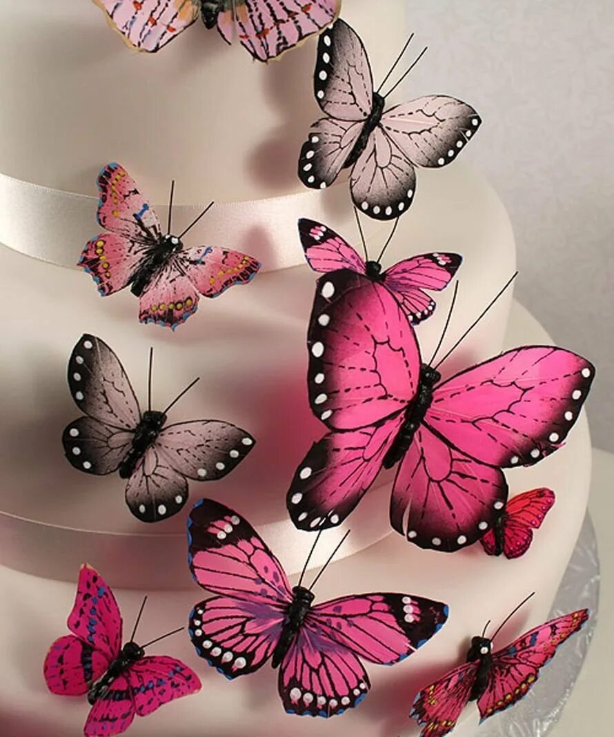 Вафельные бабочки для торта купить. Торт «бабочки». Розовые бабочки. Украшение торта бабочками. Бабочки для украшения.