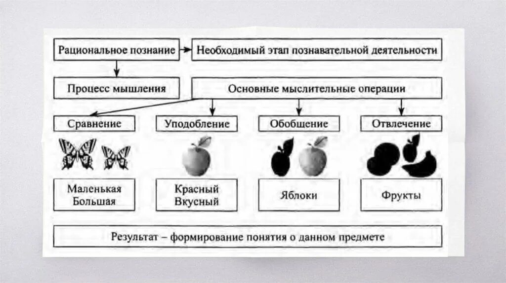 Процессы рационального познания. Способы рационального познания. Рациональное познание примеры. Способы чувственного познания. Рациональный и чувственный способ познания.