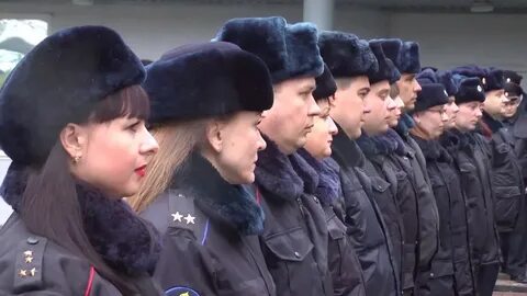 Сутки в полиции