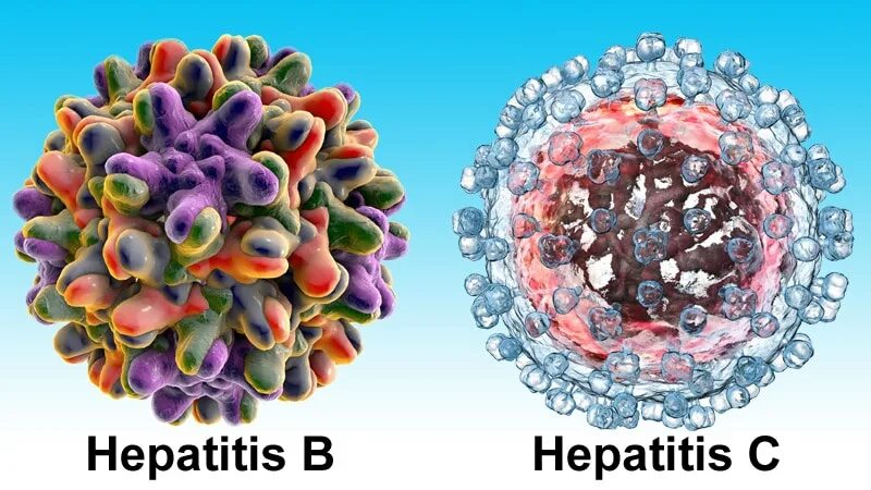 HBV вирус. Hepatitis картинки для презентации. Панлобулярный гепатит. Новое гепатит б