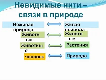 Невидимые нити тест 2 класс окружающий мир
