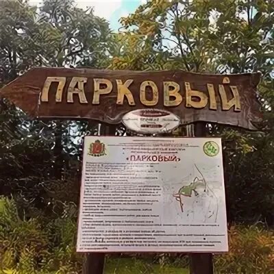 Деревня нашего региона. Село парково. Село парково. Парково. Срок парково ярославль.