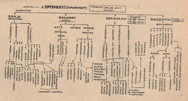 Родословная казахов среднего жуза найман. Шежире рода басентиин. Род керей древо. Шедир. Младший жуз древо.