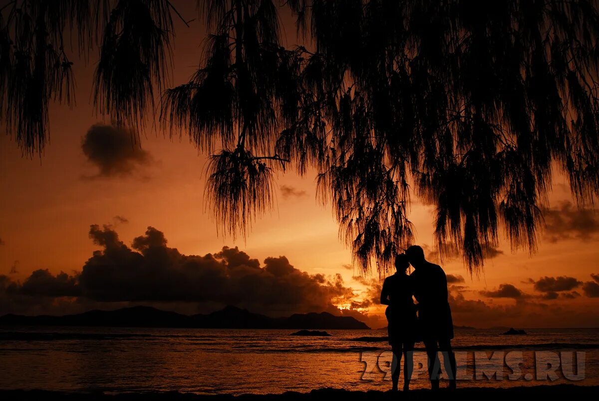 Пара ост. Романтика на острове. Влюбленные на острове. Пара на необитаемом острове. Двое влюбленных на острове.