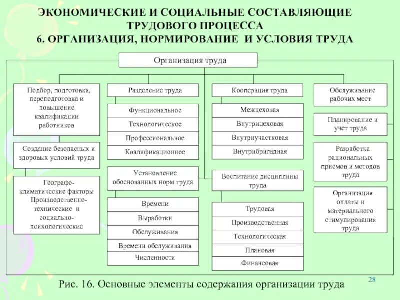 Труд это экономическая деятельность. Основные составляющие системы организации труда. Элементы содержания организации труда. Организация труда на предприятии. Схема элементов организации труда.