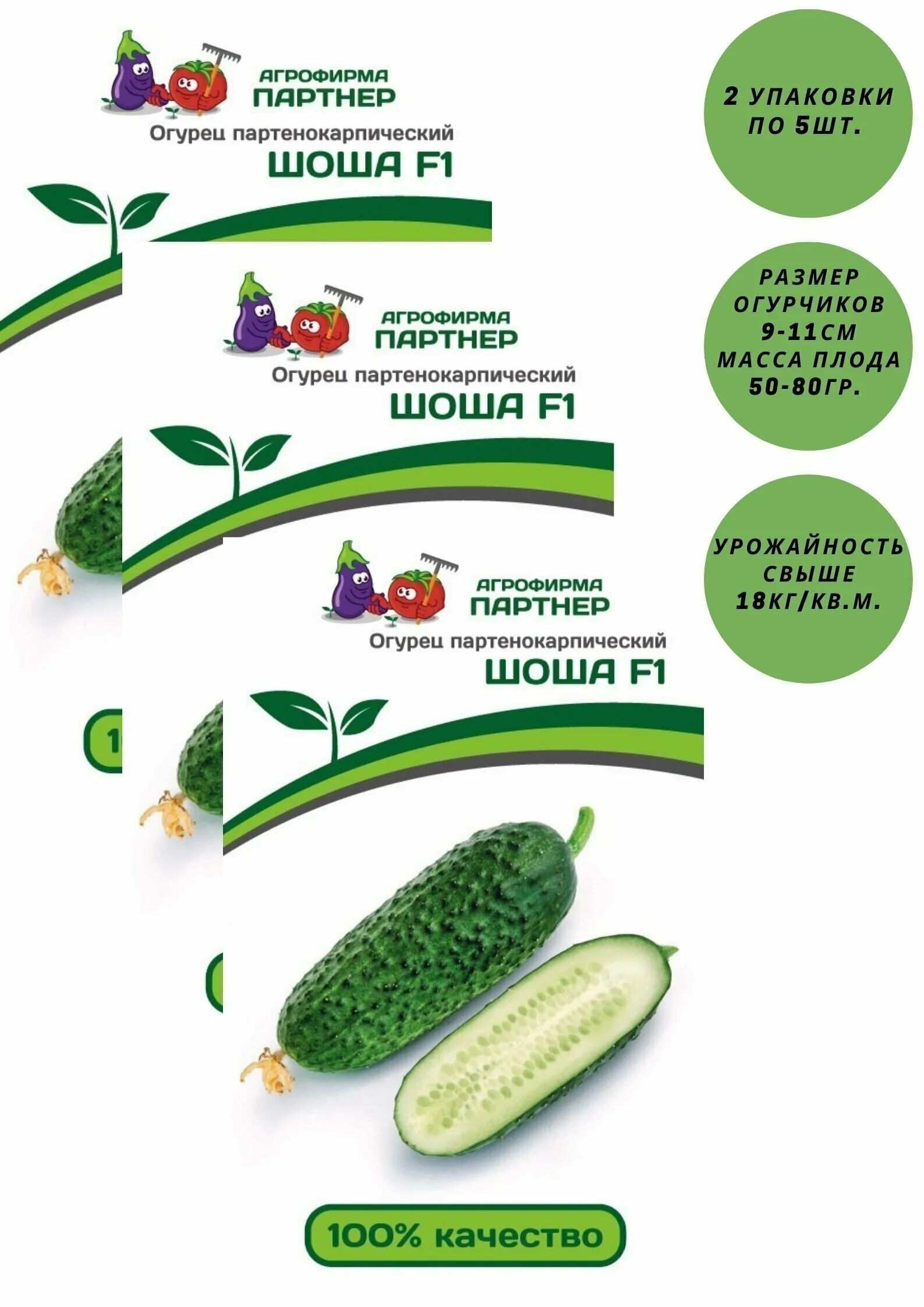 сорт огурцов шоша отзывы