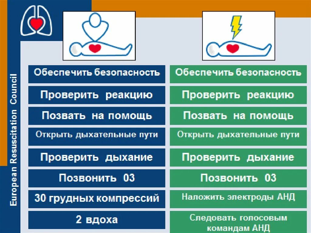 Базовая сердечно-легочная реанимация. Чек-лист сердечно-легочная реанимация. Базовый комплекс сердечно-легочной реанимации. Чек лист Базовая сердечно-легочная реанимация.