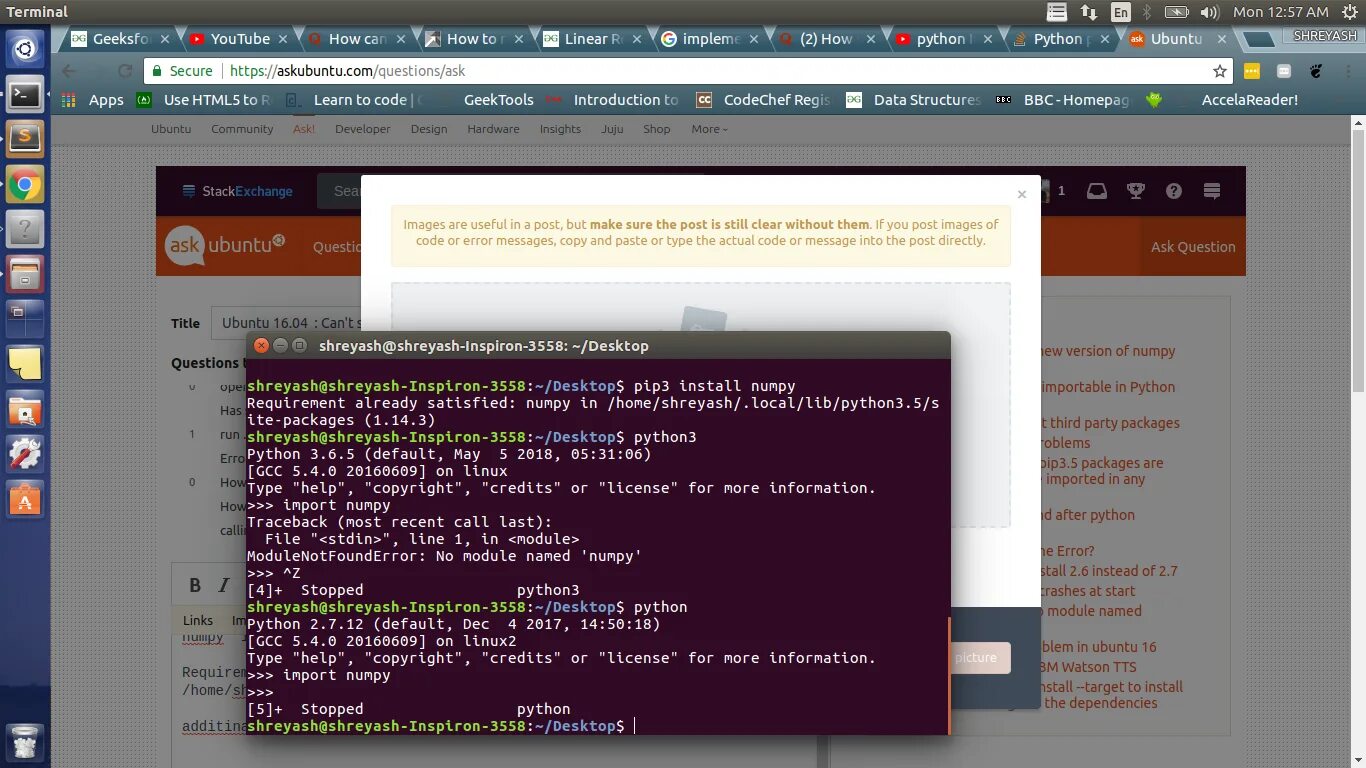 No module named numpy. Библиотека numpy. import numpy python. install numpy python. pip install numpy.