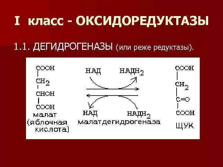 Реакцию, которую катализирует фермент класса оксидоредуктаз. Подклассы оксидоредуктаз. Ферменты класса оксидоредуктаз. Охарактеризуйте ферменты класса оксидоредуктаз.