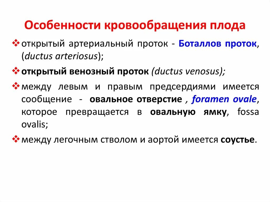 Особенности кровообращения плода. Особенности кровоснабж плода.. Особенности фетального кровообращения. Характеристика фетального кровообращения. Особенности гемодинамики