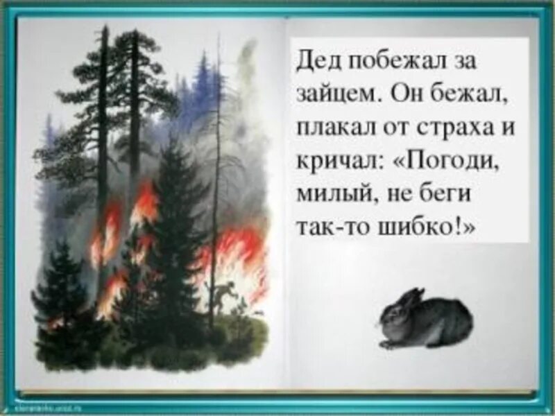 Заячьи лапки кратко. Заячьи лапы Паустовский Лесной пожар. К. Паустовский "заячьи лапы". План рассказа заячьи лапы Паустовский. Паустовский заячьи лапы книга.