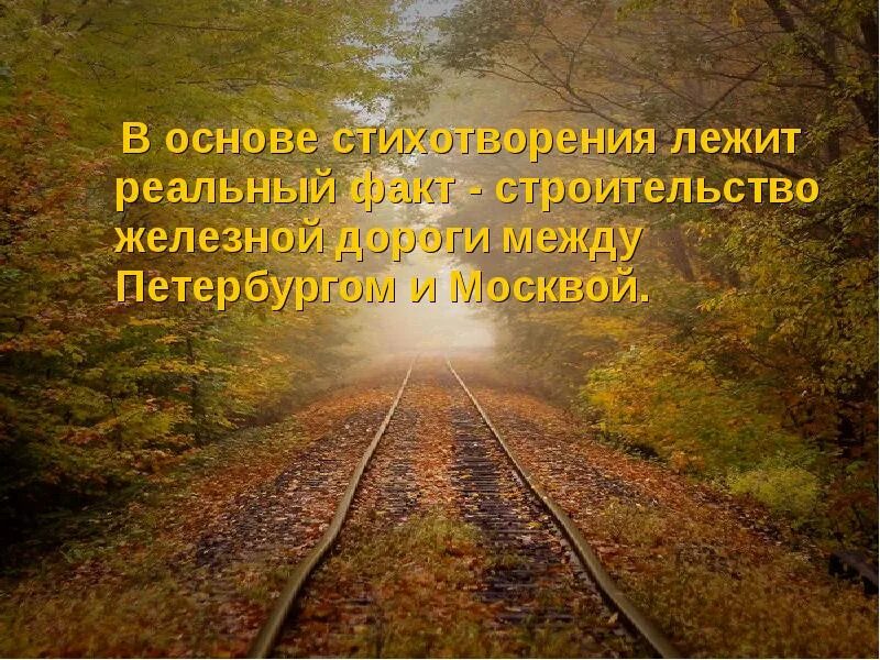 И широкую ясную дорогу