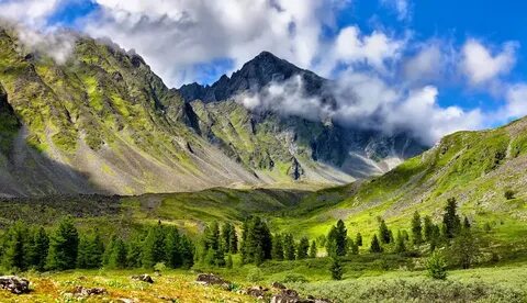 Реки в горах южной сибири