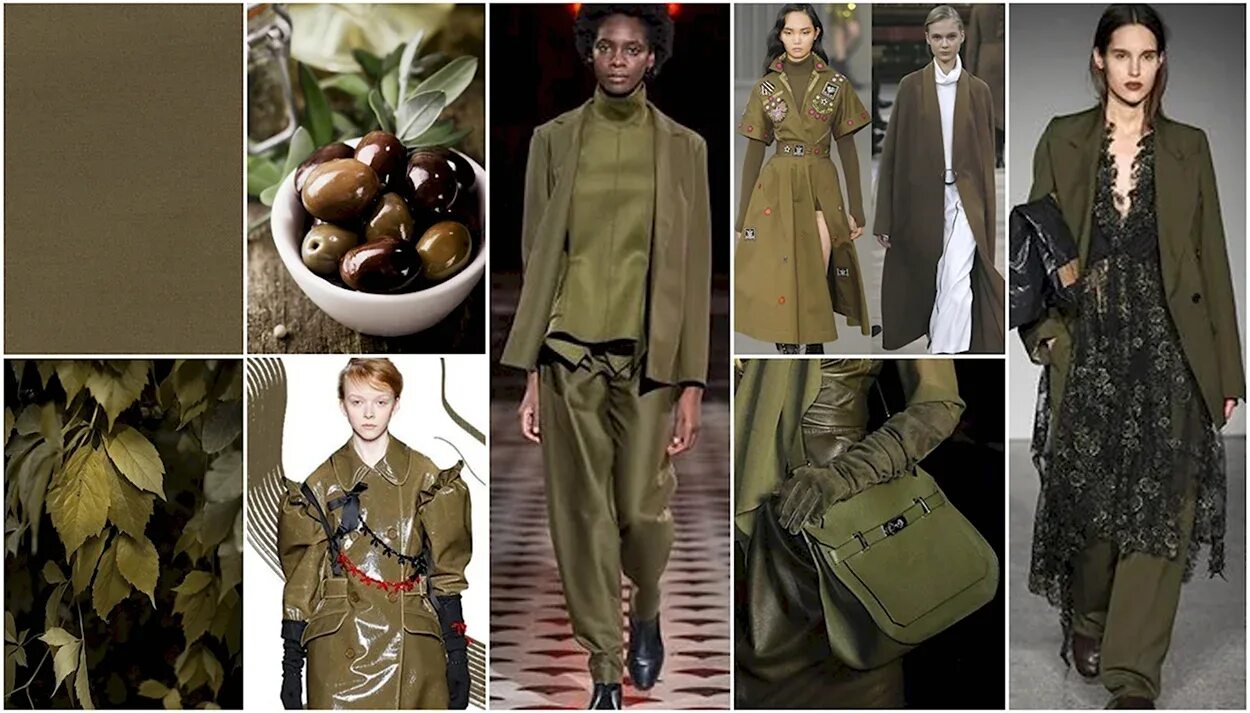 Цвет оливы в одежде. Military olive пантон. цвет олива пантон. пантон оливковый хаки. оттенки хаки пантон.