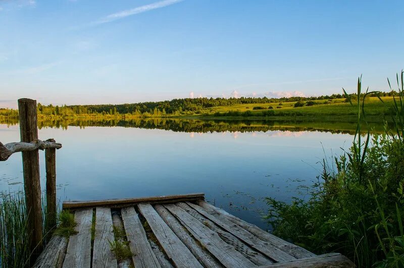 Озеро Торбино Новгородская область. Озеро Липово Новгородская область. Озеро Данец Новгородская область. Мостки Новогородская область. Озеро у деревни реальная