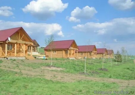 Золотой карп воронежская область