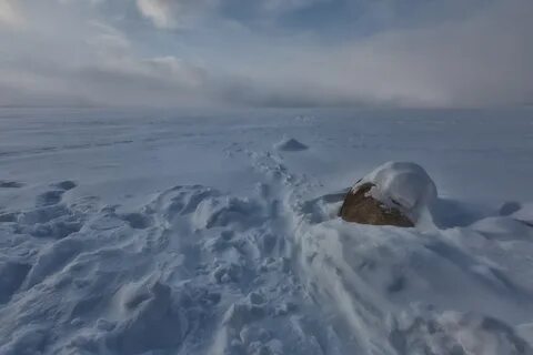 Арктическая тоска