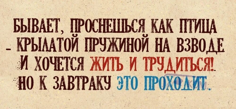 Крылатая пружина. Но к обеду это проходит стих. Бывает проснешься как птица крылатой. Бывает проснешься как птица крылатой пружиной на взводе и хочется. Бывало проснешься как птица.