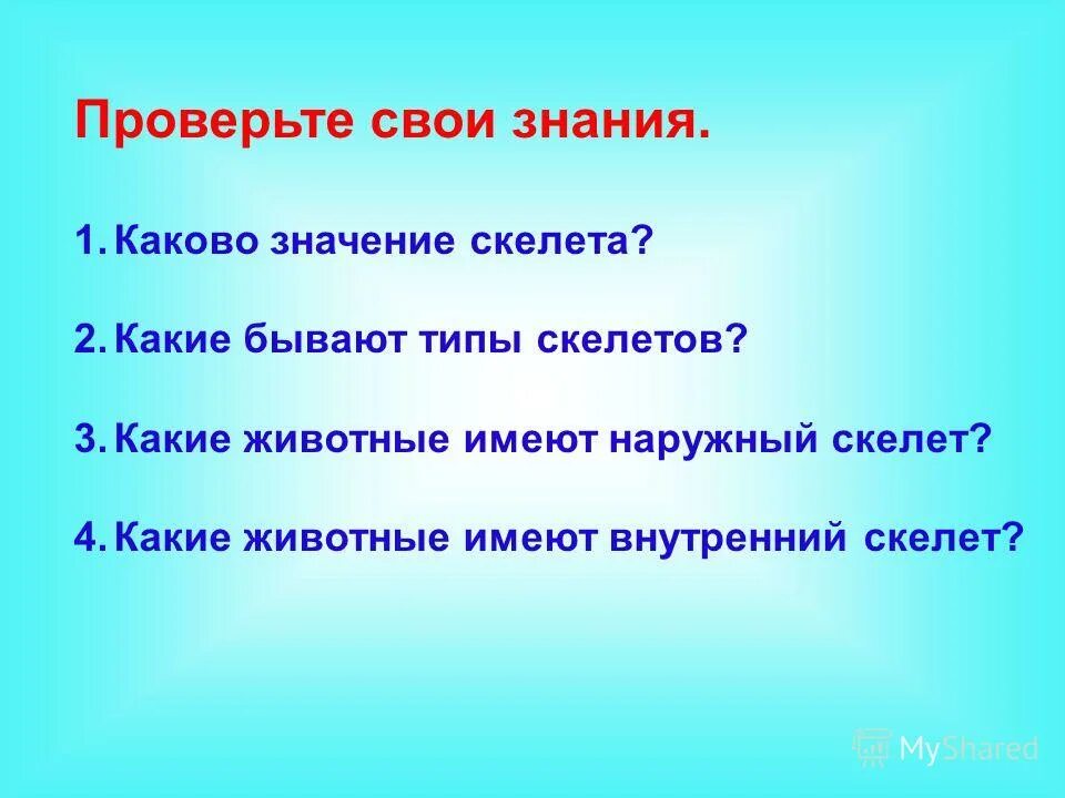 Значение скелета. Каково значение скелета для человека. Значение скелета. Значение скелета кратко. Значение скелета человека.