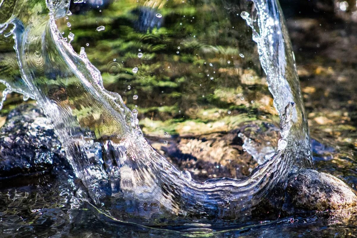 Природный водный орган