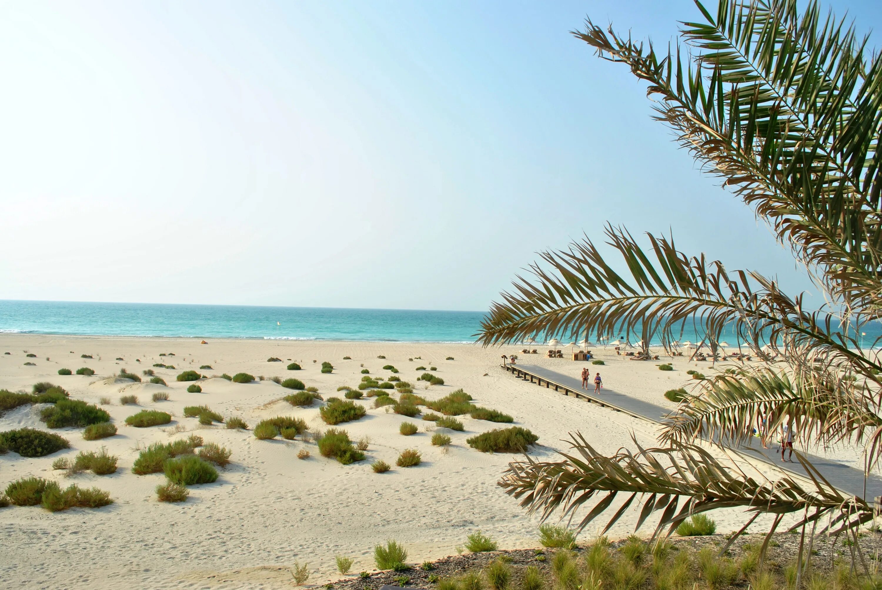 Саадият объединенные арабские. Остров Саадият Абу-Даби. Saadiyat пляж Абу-Даби. Пляж Саадият Абу Даби Саадият. ОАЭ Садият Айленд.