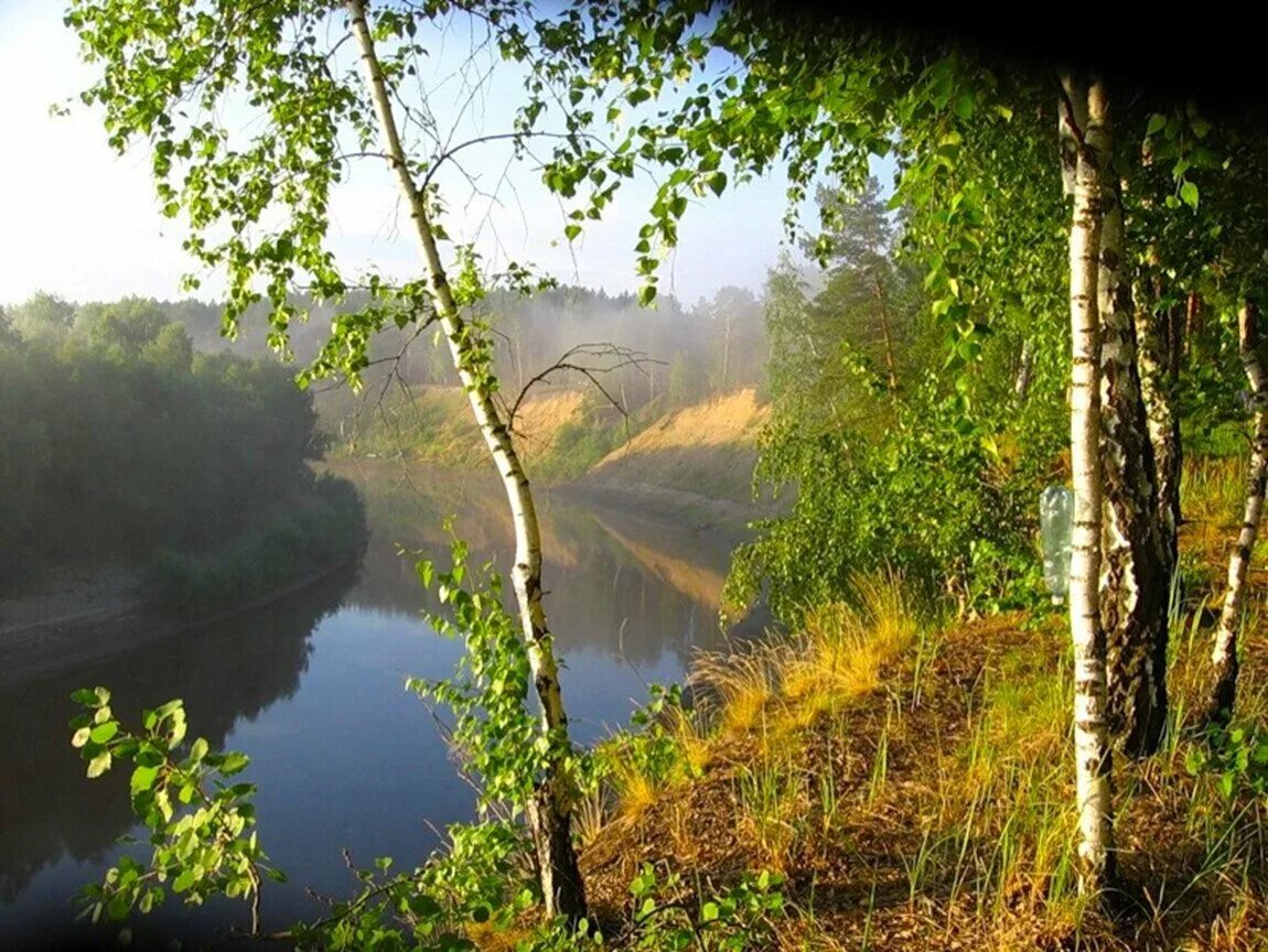 Нижняя омка река омь. Родной край омск. Красота родного края. Родной край омск. Калачинские леса омская область.