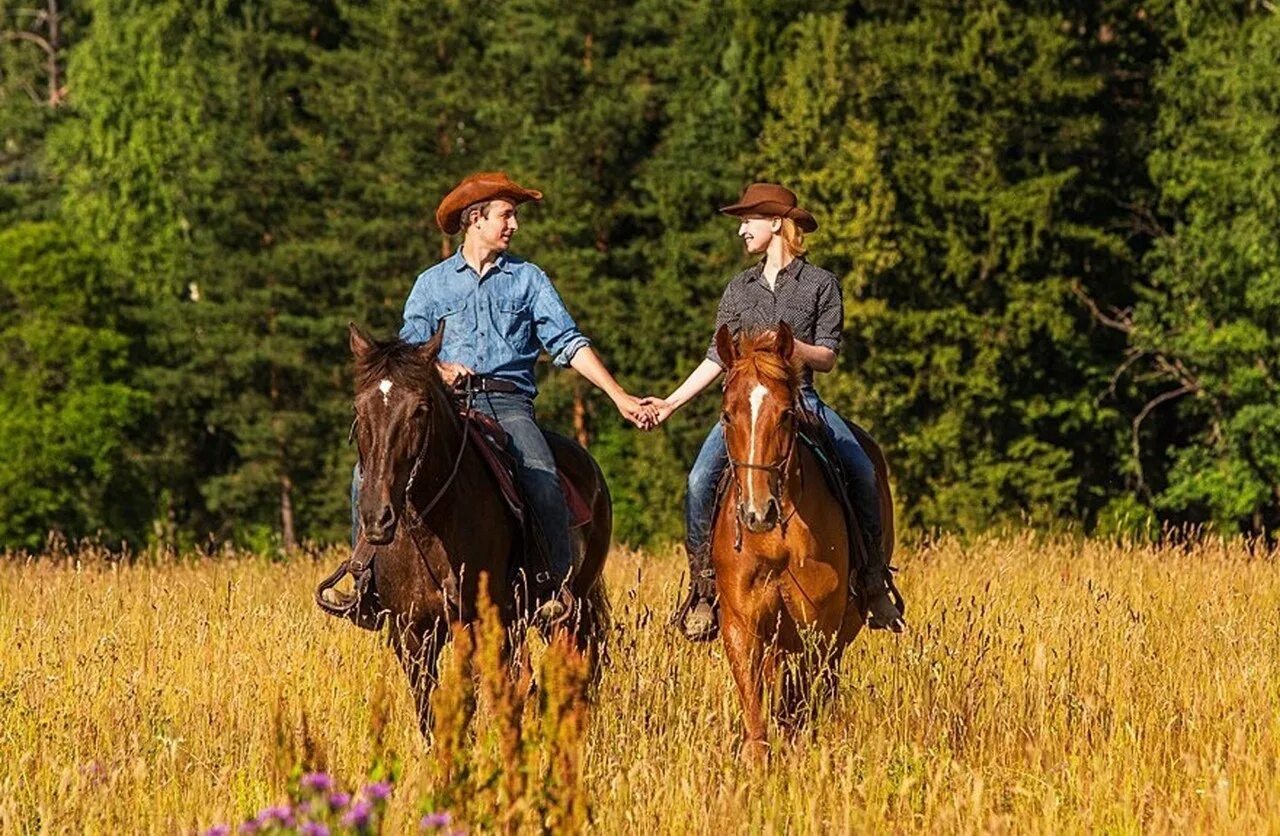 Лошади гуляют. Пайн Ривер конные прогулки. Конная прогулка. Фотосессия с лошадьми. Конная прогулка для двоих.